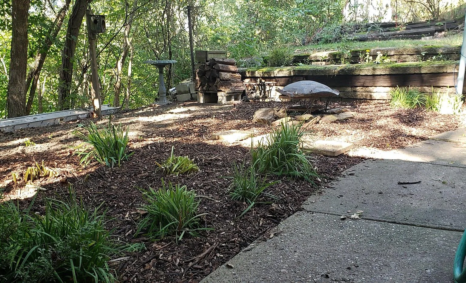 1 bed, 1.5 bath, 1400 sqft, $1,700 — Photo 3