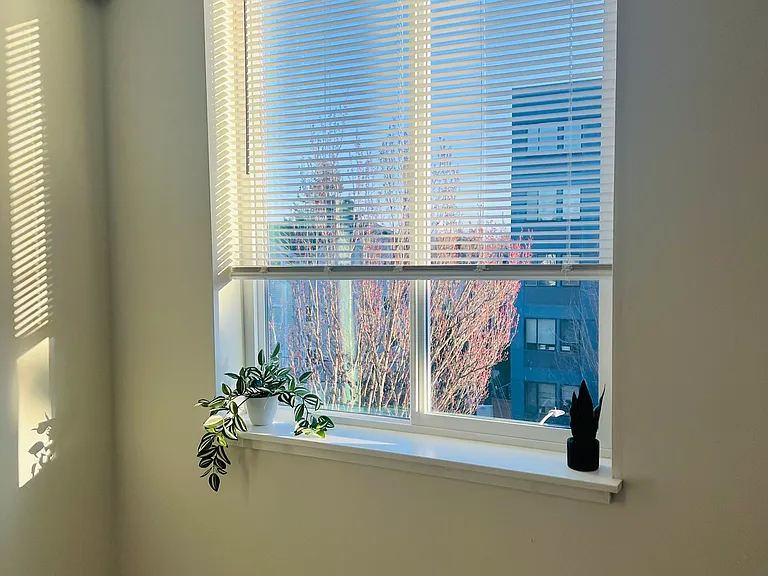 Unit 403 - $1,195, available to rent now