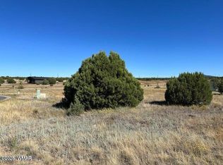 1181 S Ridgeway Pl LOT 1B-117, Show Low, AZ 85901