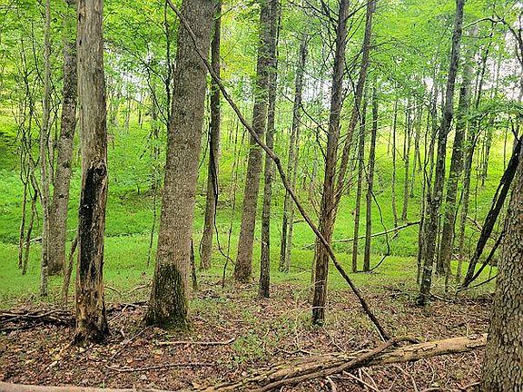 3rd image of 1044 Brushy Ridge Rd