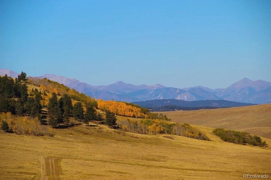 1st image of 1245 Coochee Trail