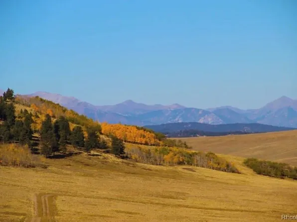 1245 Coochee Trail, Guffey, CO 80820