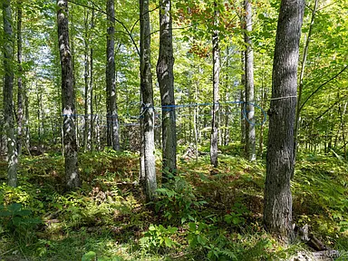 Property photo 43