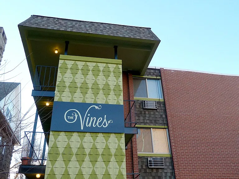Vines — Photo 5
