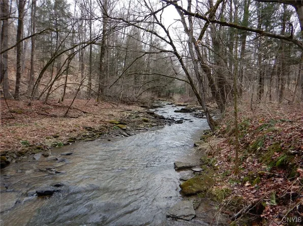 County Road 16, Angelica, NY 14709