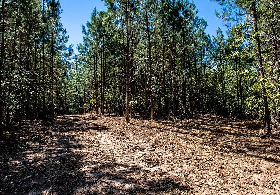 33 Rockfish River Rd LOT 3, Schuyler, VA 22969 Zillow