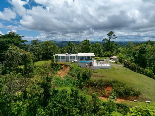 State Highway 797 Km #5.3, Aguas Buenas, PR 00703