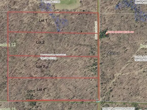 Lot 1 Mason Delta Road, Delta, WI 54856