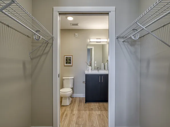 The Tradition at Bridgwater