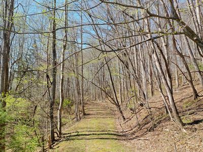 1 Two #&-3, Sylva, NC, 28779