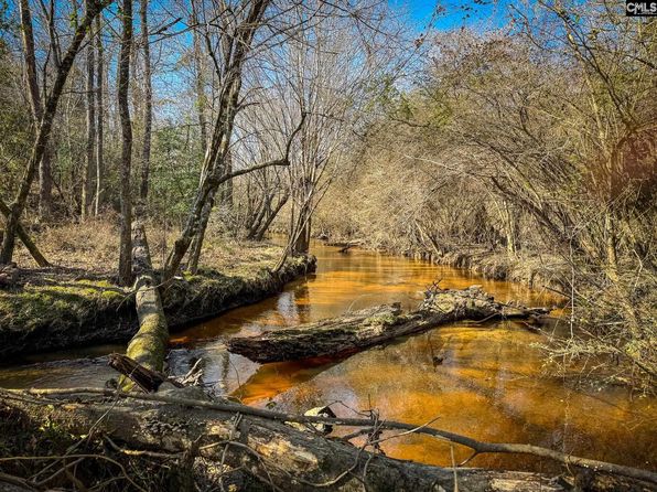 0 Palomino Rd LOT 12, Leesville, SC 29070
