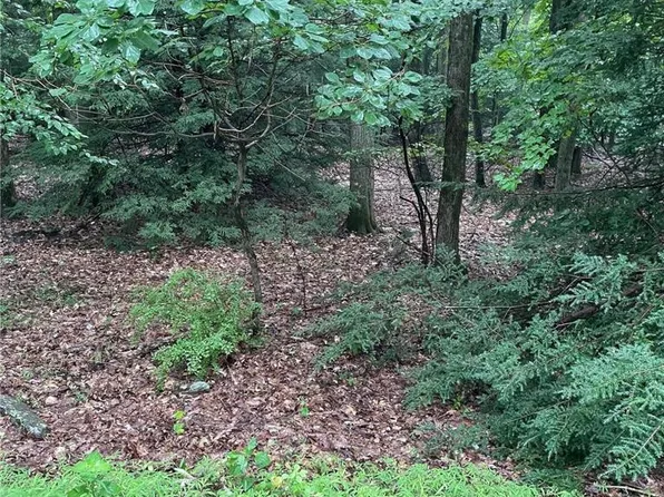 70 Woodland Rd, Albrightsville, PA 18210