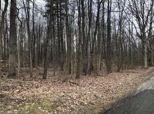 Bancroft Rd, Garrettsville, OH 44231