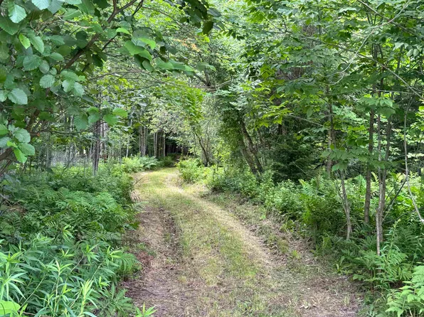 0 Richard Woolcutt Road, Wolcott, VT 05680
