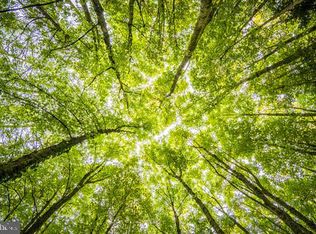 Log Cabin Rd, Beaverdam, VA 23015