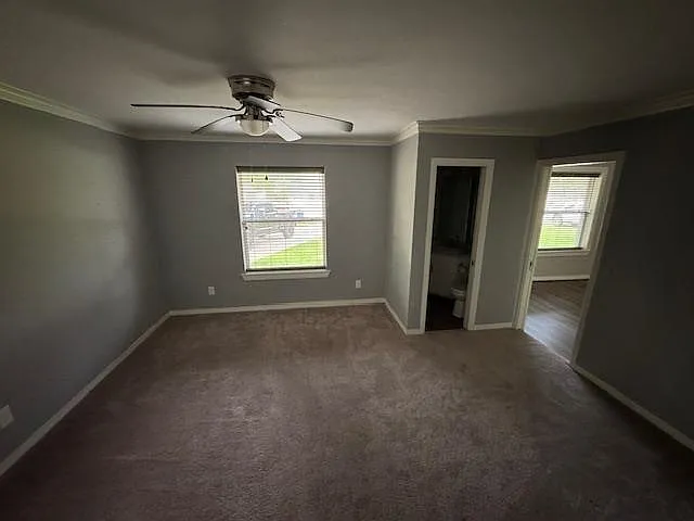 506 Peterson Rd — Photo 10