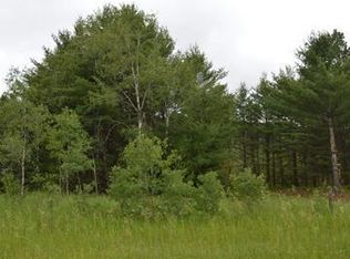 Twin Bridge Road Lovells, Grayling, MI 49738
