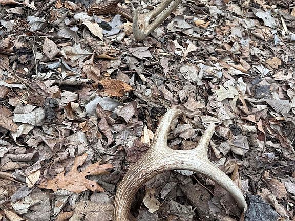 4th image of (Undisclosed Address)