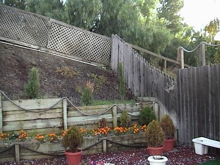 5th image of 251 Nugent Dr