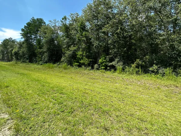 SE Lot 56 Breckenridge, Lee, FL 32059