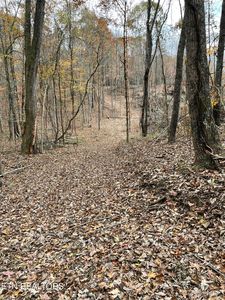 300 Ivy Moore Cir, Decatur, TN, 37322