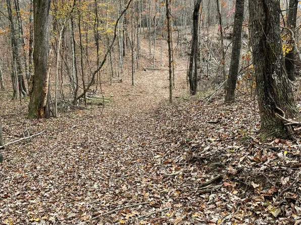 300 Ivy Moore Cir, Decatur, TN 37322