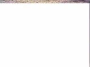 12021 Old Montgomery Rd, Willis, TX 77318