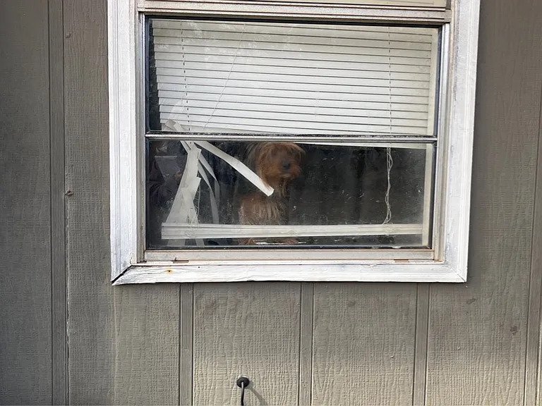 310 Carriage Ln #A — Photo 15