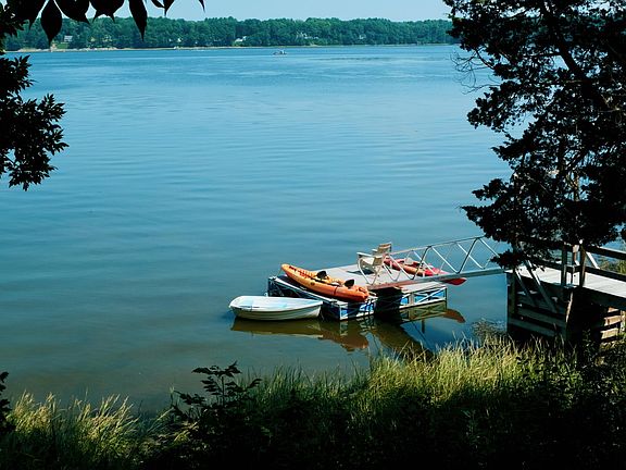 Summer bliss