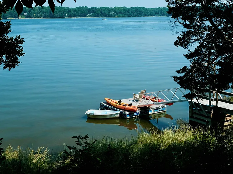 Misc: Summer bliss