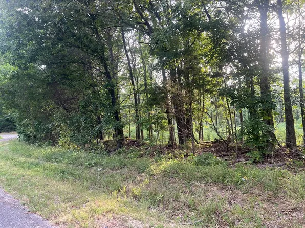 0 Green Allen Springs, Huntingdon, TN 38344