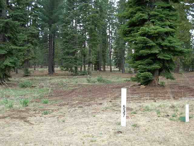 1st image of 36 Winterwood Dr