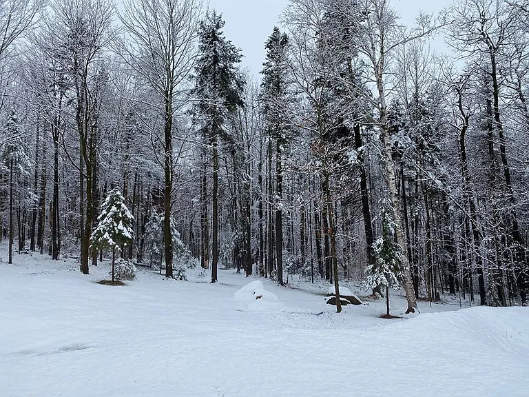 1072 Burrington Hill Rd — Photo 21