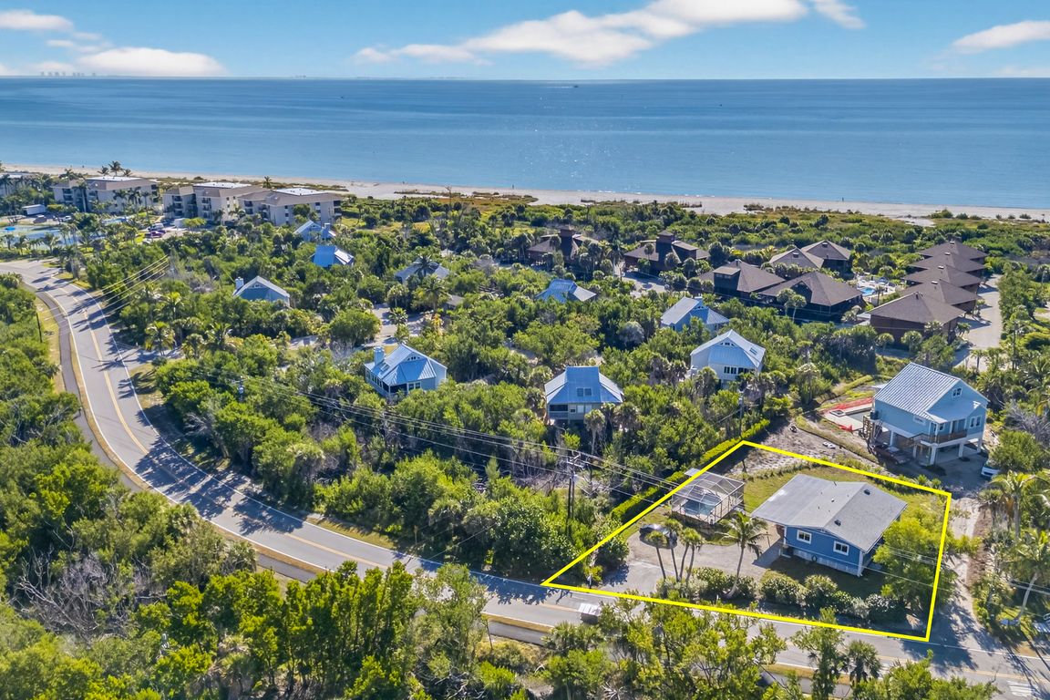 1-Aerial View 1-lines