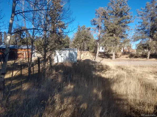 594 4th Street LOT 13, Fairplay, CO 80440