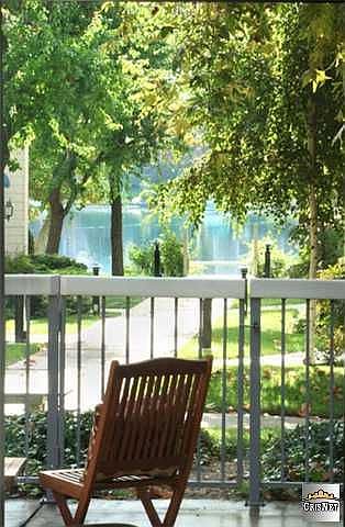 Back Patio View