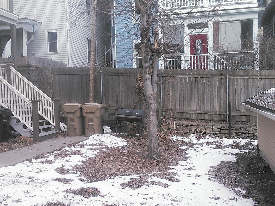 Back yard