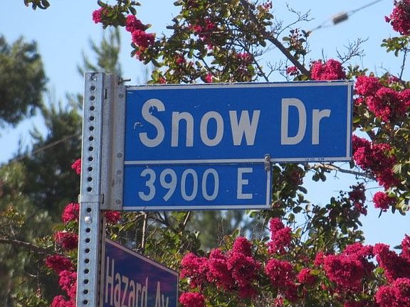 5th image of 3954 Snow Dr