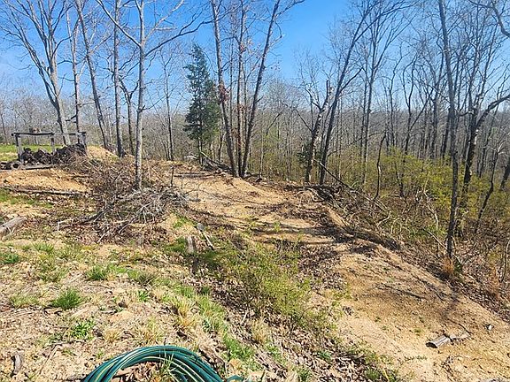 3rd image of 251 Riverview Rd