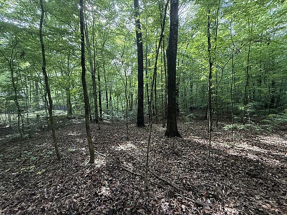 2nd image of 0 Cane Creek Cir Lot 14