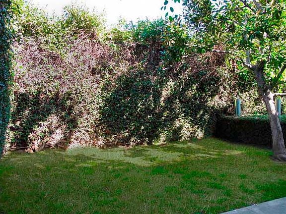 5th image of 15335 Magnolia Blvd APT 310