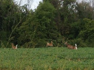 Sheridan Line Rd, Lexington, MI 48450