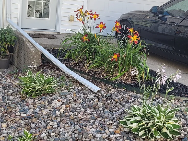 Landscaping in front of house