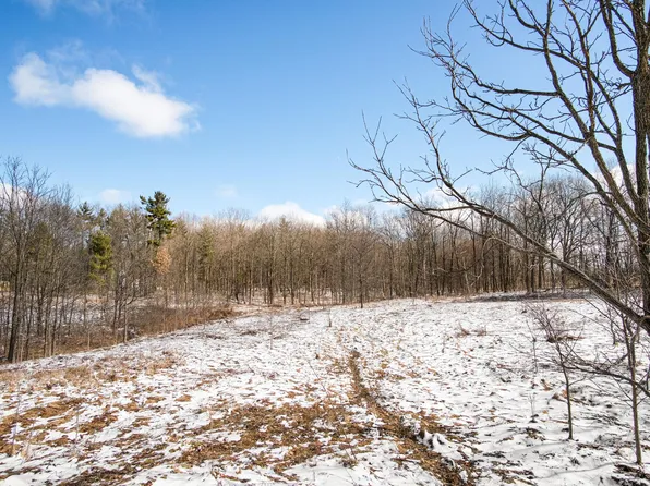 11450 Tefft Ave NE, Rockford, MI 49341