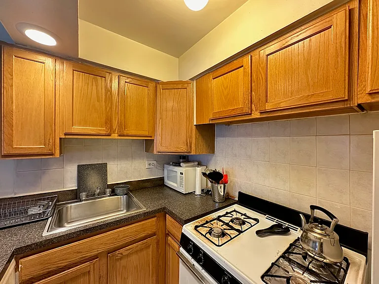 6830 N Sheridan Rd #962 — Photo 4