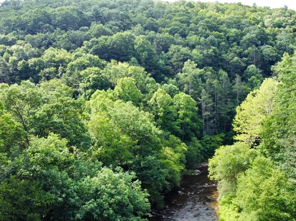 10 Avenue, Marlinton, WV 24954