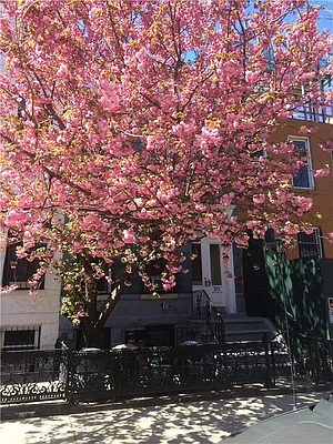 Rented by Avenue Sotheby's International Realty | media 16