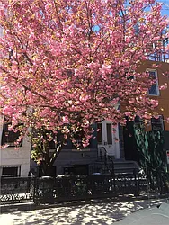 Rented by Avenue Sotheby's International Realty