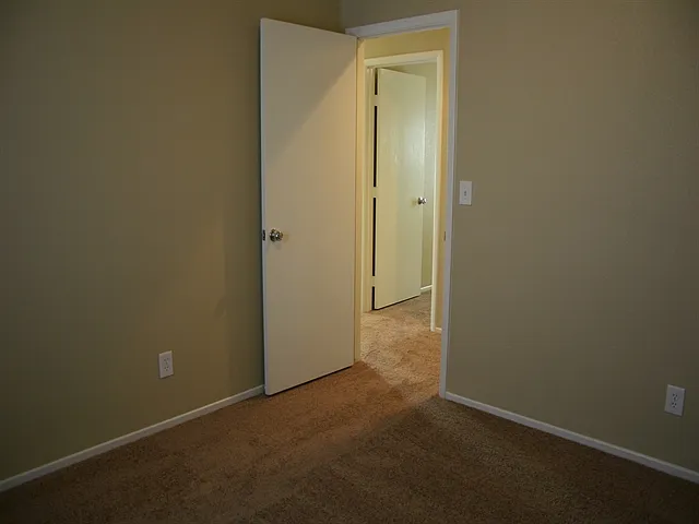 1171 Paradise Safari Dr — Photo 13