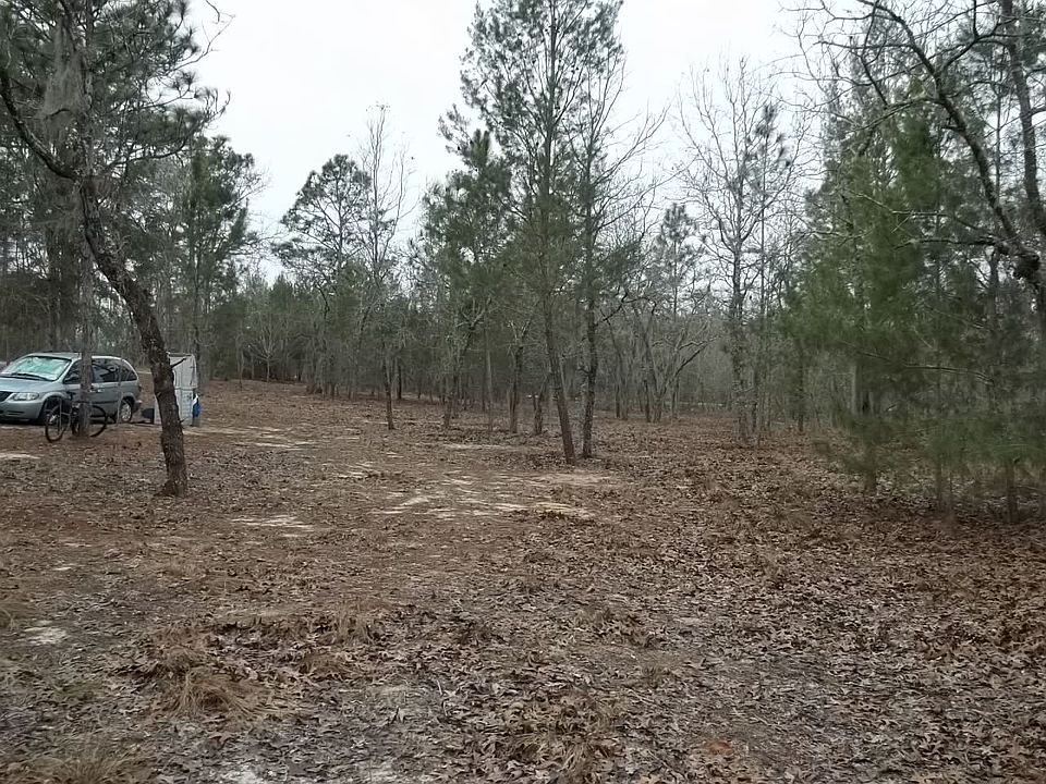 most all trees cleared